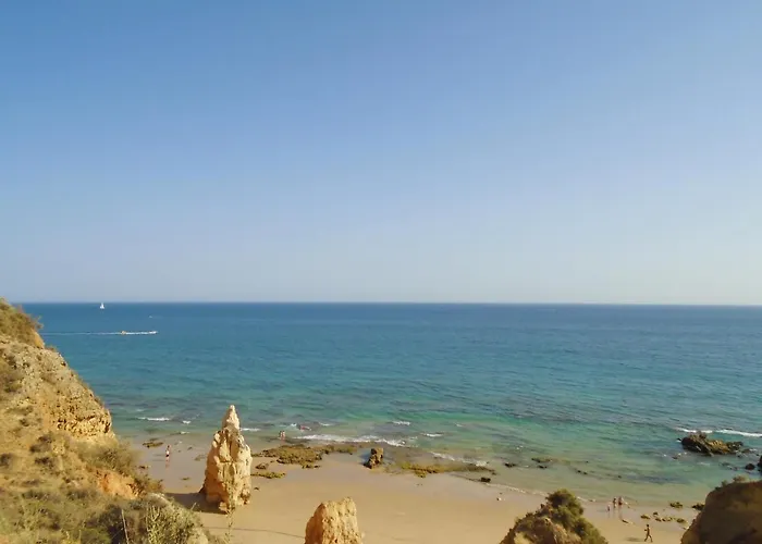 Summer Litoralmar 포티마오